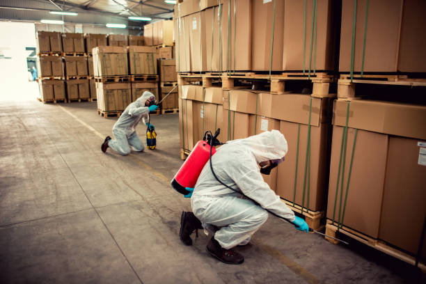 Trusted Lake Delton, WI Pest Control Experts