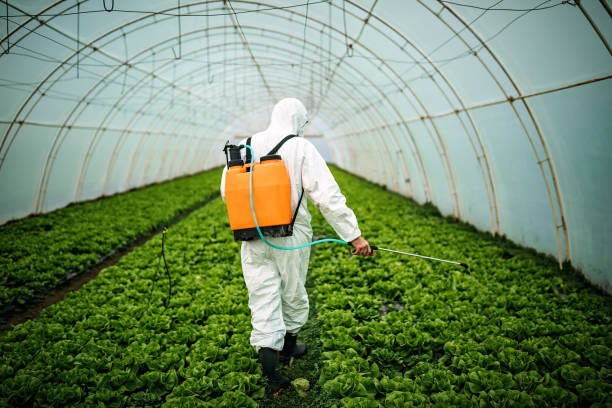 Best Pest Control Treatment  in Lake Delton, WI