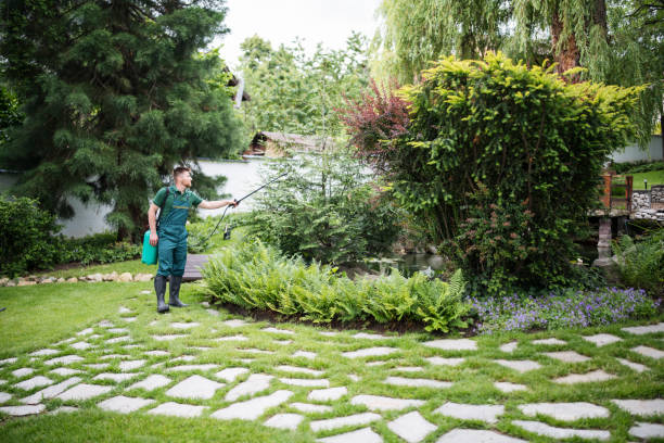  Lake Delton, WI Pest Control Pros
