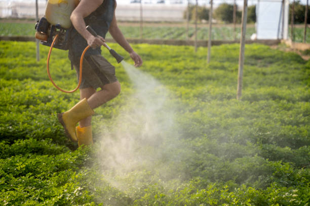 Pest Control for Restaurants in Lake Delton, WI