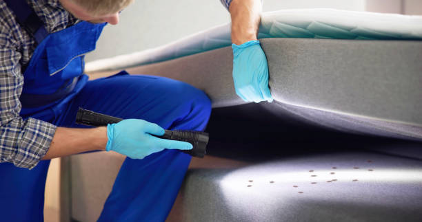 Best Rat Extermination Near Me  in Lake Delton, WI