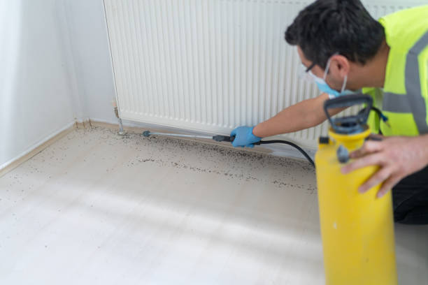 Best Residential Pest Control  in Lake Delton, WI