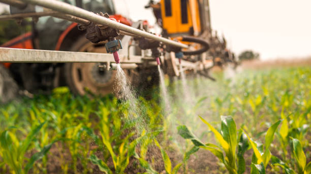 Best Pest Control Near Me  in Lake Delton, WI